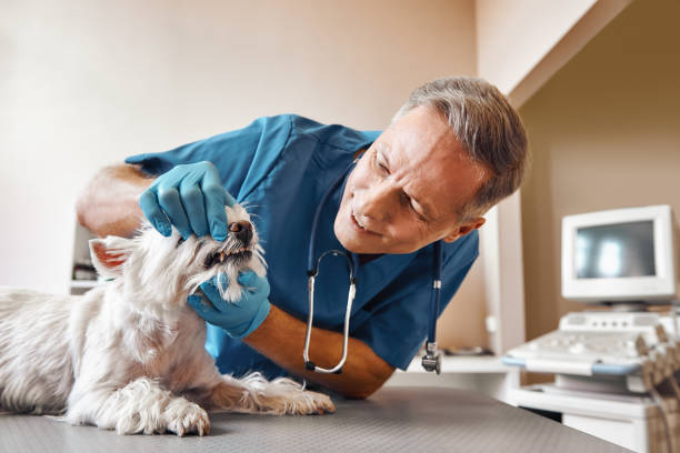 Best Emergency Tooth Extraction in Meade, KS
